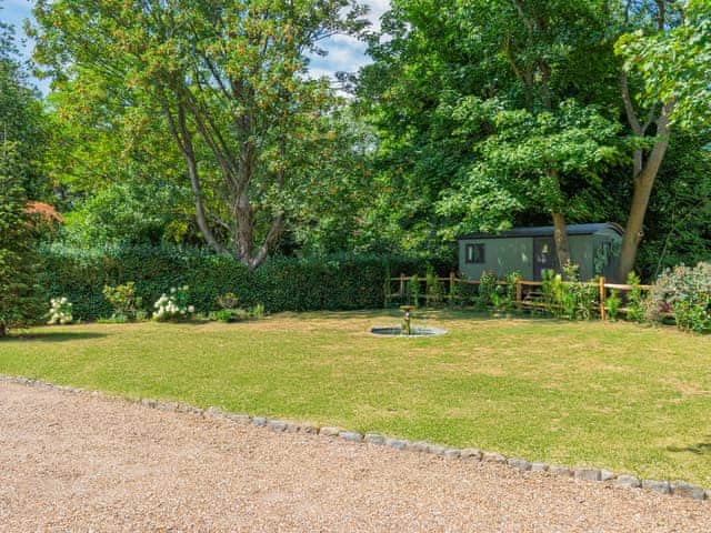 Rose Cottage garden and driveway | Rose Cottage, Banstead