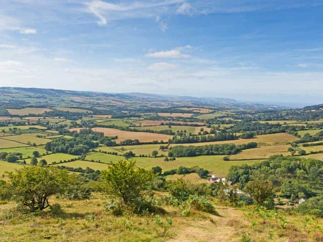Quantocks Hills