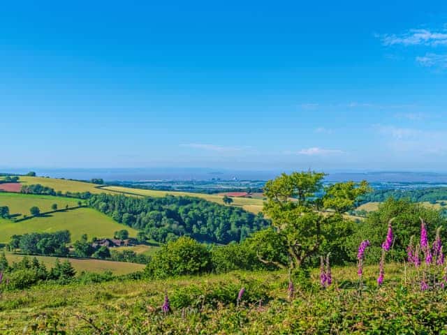 Quantocks Hills