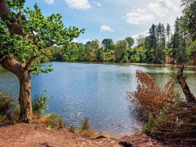 Delamere Forest