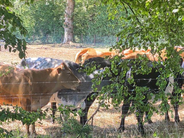 Meet the Neighbours | Wysteria, North Lodge, Rusper, near Horsham