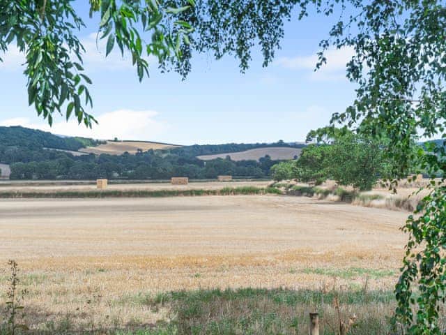 Surrounding area | The Little Barn, Blue Anchor, near Minehead