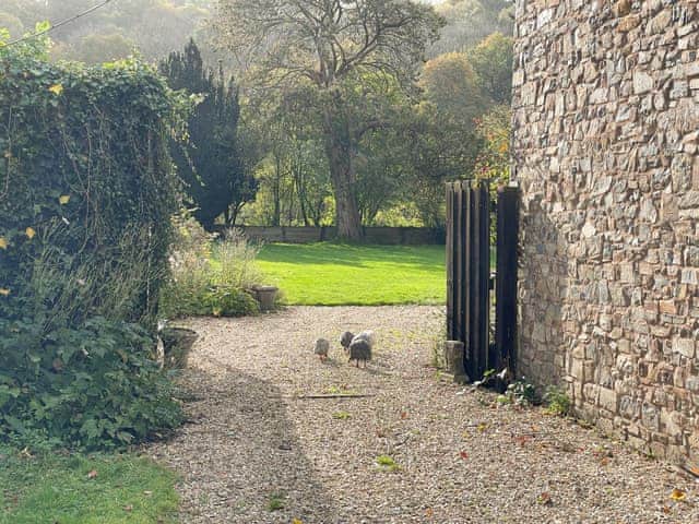 Outdoor area | Duvale Priory - Duvale Cottages, Bampton, near Tiverton