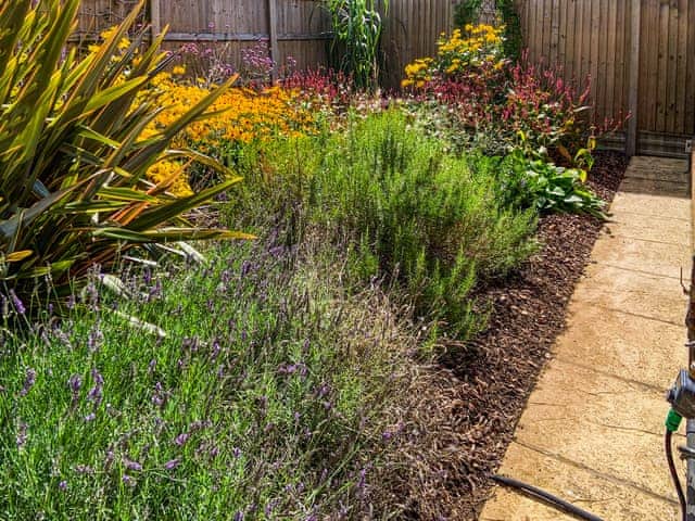 Garden | Dovecote Cottage, Downham Market