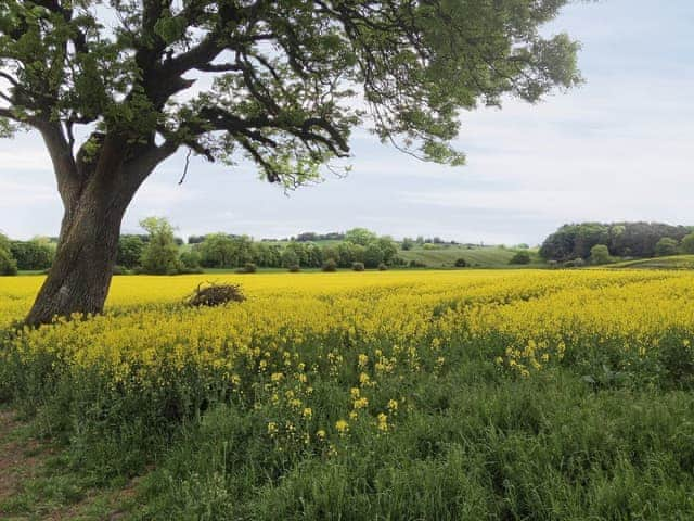 Surrounding area | Mill Cottage, Sykelands Cottage - Sykelands Grange Cottages, Dalton near Richmond