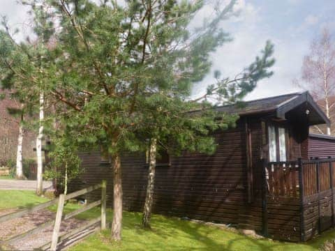 Attractive holiday home | Acorn Lodge - Burnside Park - Burnside Park, Keswick