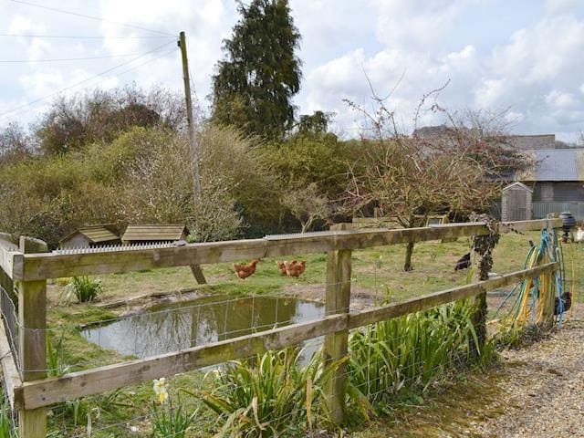 Around the complex &ndash; The duck pond | Compton Farm Cottages, Compton, nr. Chichester