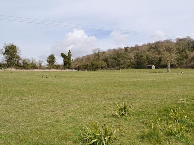 Around the complex &ndash;Open grassy fields | Compton Farm Cottages, Compton, nr. Chichester