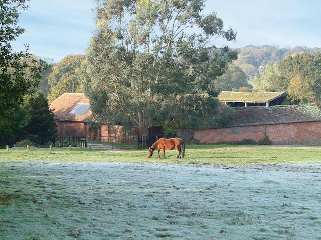 Secluded agricultural conversion in the heart of The New Forest | Brook Barn - Brook and Meadow Barns, Shobley, Ringwood