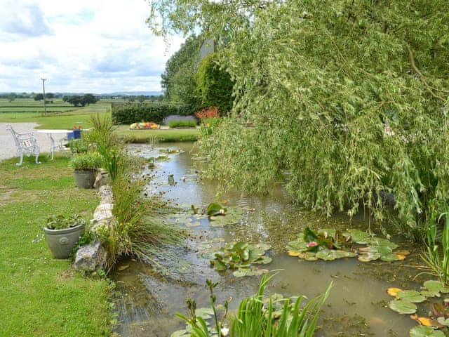 Garden pond | Ash Garth Cottage, Little Barugh, near Pickering