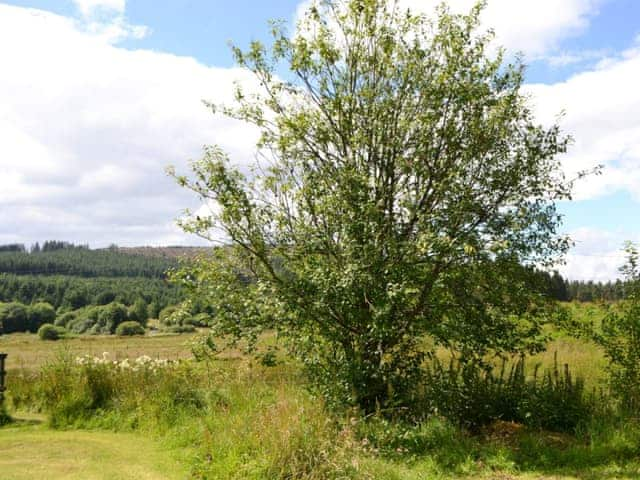 Lovely surrounding countryside viewed from within garden | Fir Tree Cottage - Border Forest Cottages, Cottonshopeburnfoot, near Otterburn