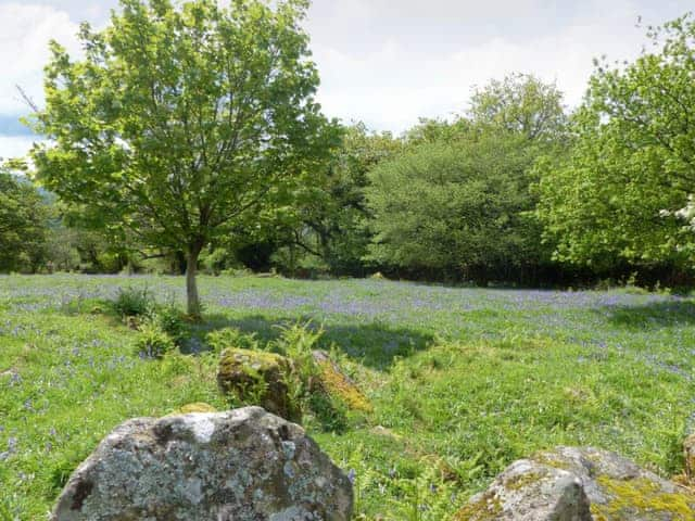 Lovely local countryside | Lower Elsford Farm, Lustleigh, near Bovey Tracey