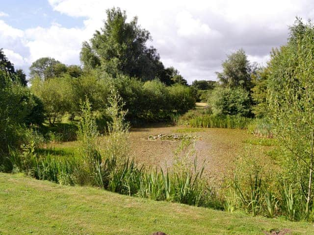 Tranquil lake in shared garden area | Scarning Dale Cottages, Scarning, nr. Dereham