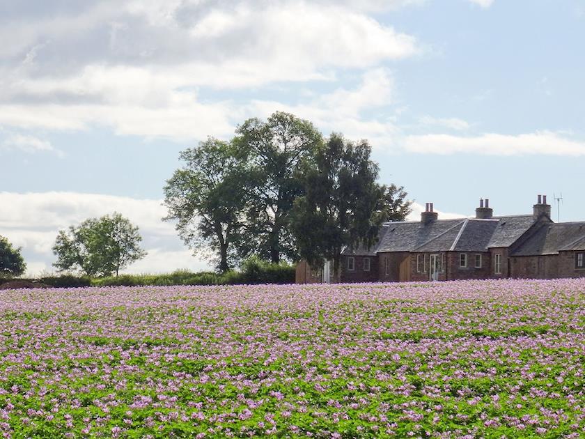 4 Rosemount Cottage