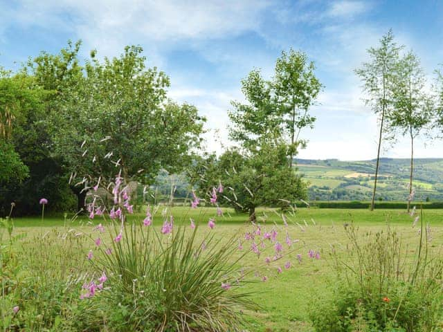 Large South facing garden and grounds, from where to enjoy the sun all day long | The Headmaster&rsquo;s Cottage, South Hill, near Tamar Valley