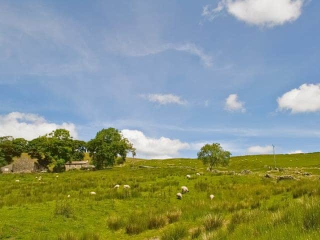 Grizedale | Cumbria, England