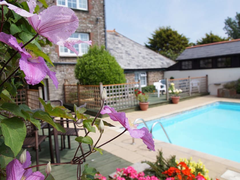 Tranquil swimming pool with sitting out area | West Pusehill Farm, Westward Ho!, near Bideford