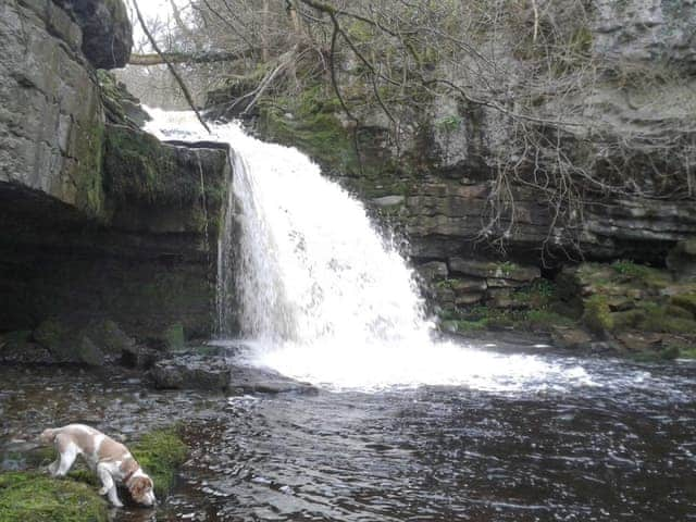 Cauldron Falls at West Burton | Beech Cottage, Carlton-in-Coverdale near Leyburn