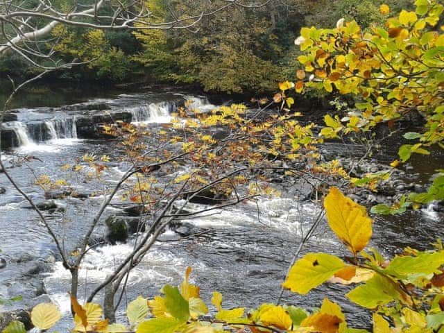 Aysgarth Falls as seen in Robin Hood, Prince of Thieves | Beech Cottage, Carlton-in-Coverdale near Leyburn