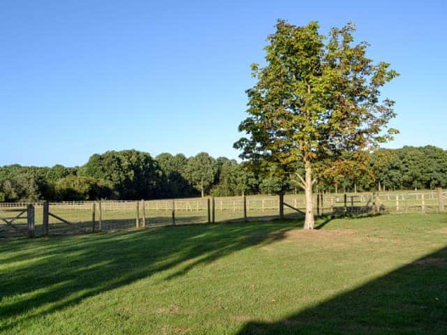 Garden | Maplehurst Barn Stables, Staplehurst, near Maidstone