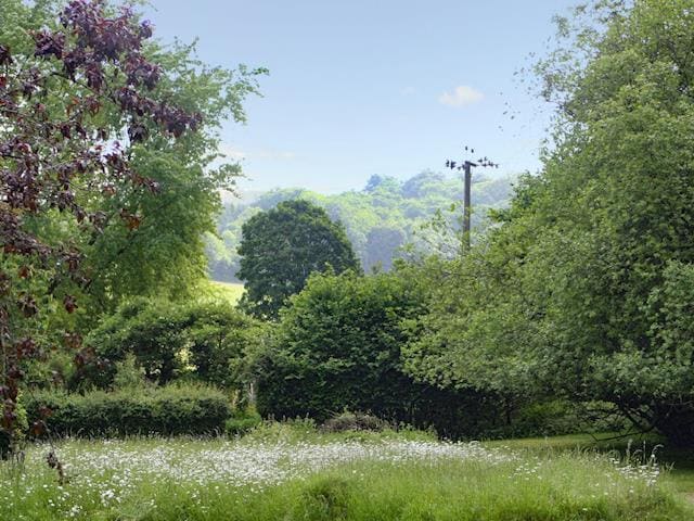 The wildflower meadow in front of the cottage blooms throughout the summer months | Pheasants Hill Old Byre, Hambleden, near Henley-on-Thames