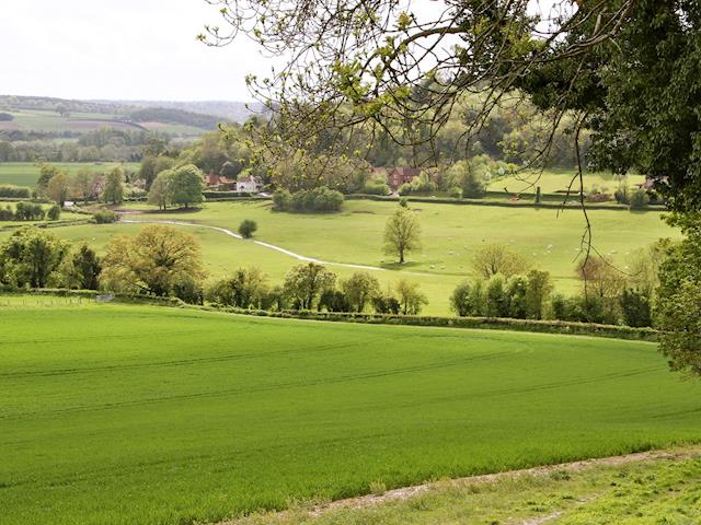 The surrounding valley is beautiful and green | Pheasants Hill Old Byre, Hambleden, near Henley-on-Thames