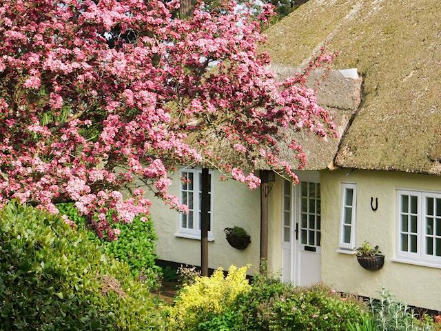 Exterior | Monks Thatch Cottage, Otterton