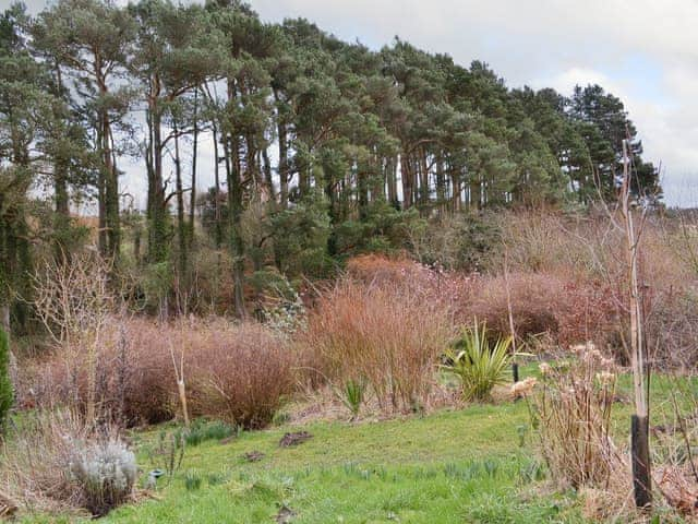 Lovely view over garden | Spindlestone - Wide Sky Cottages, Lowick, near Berwick-on-Tweed