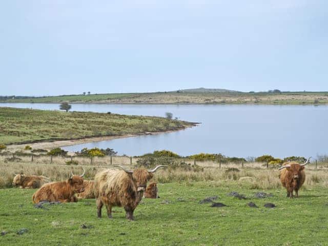 Colliford Lake | Bodmin Moor, Cornwall