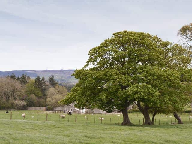 Lovely rural location | The Coach House - The Grange, Whittingham near Alnwick