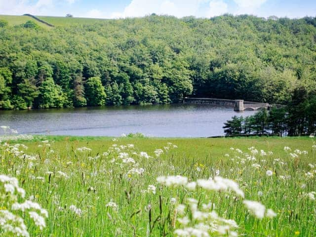 Surrounding area, wildflower meadow | Chestnut Cottage - Prestfield Grange, Old Brampton, near Chesterfield