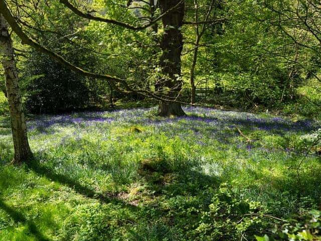 Surrounding area | Nightingale Cottage - Leashaw Farm, Whatstandwell, near Matlock