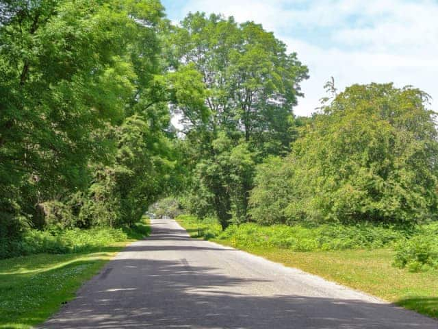 Nearby lane at Long Ash (2 miles from cottage) | Annie&rsquo;s Cottage, Milton Combe, near Yelverton