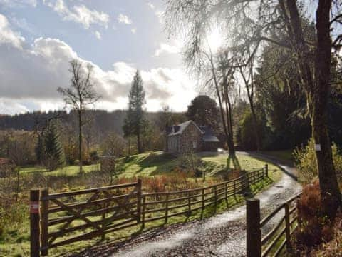 Driveway | Craigmuick Cottage, Aberfoyle