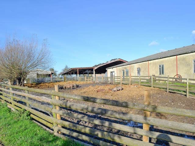 Enjoy the livestock on the farm | Milton End Farm Barns, Arlingham, near Frampton-on-Severn