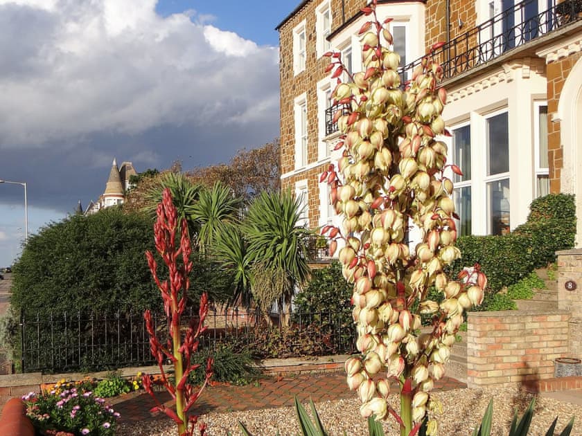 The Garden Flat