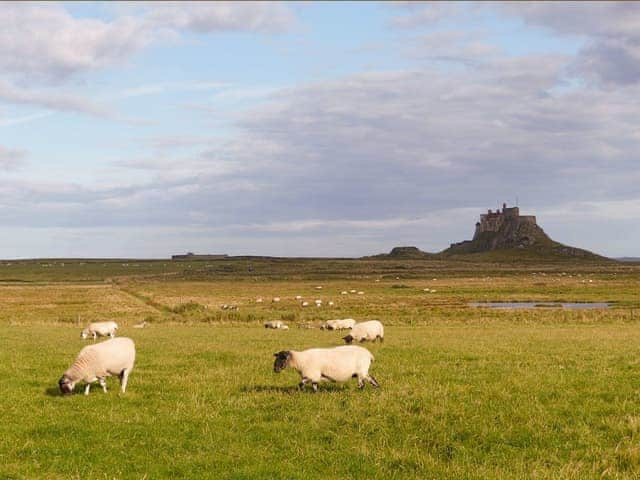 Lindisfarne Castle and surrounding countryside | The Old Granary, Holy Island, near Berwick-upon-Tweed