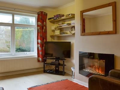 Contemporary living flame electric fire | La’al Gem, Keswick