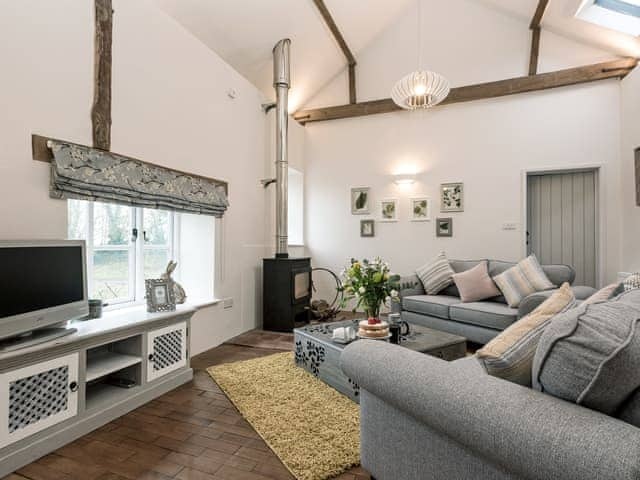 Cosy living room with wood burner and vaulted ceiling | Heron Barn, Lamas, near Buxton