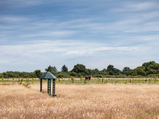 Surrounding area | Bay - Buttercup Barn Retreats, Wootton Bridge