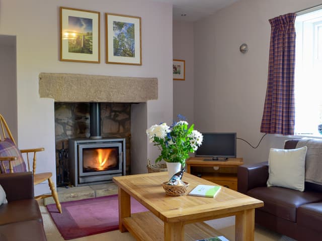 Delightful living room | Sandyhouse Cottage, Milfield, near Wooler
