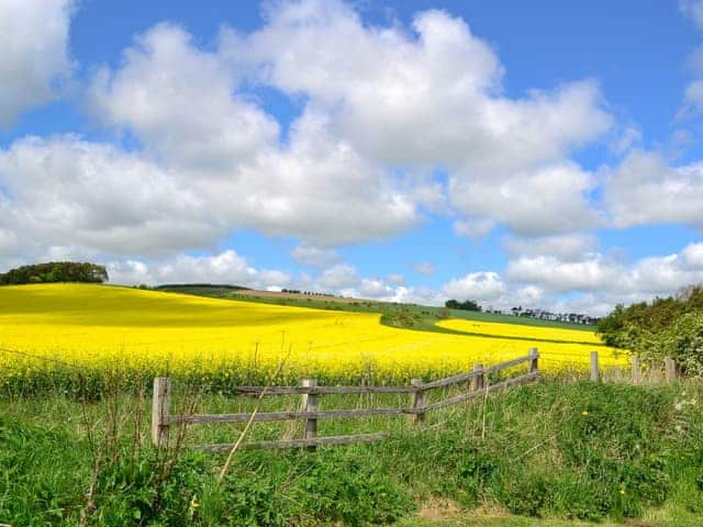 Delightful surrounding area | Sandyhouse Cottage, Milfield, near Wooler