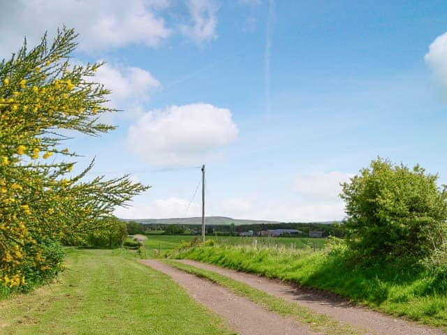 Scenic surrounding countryside | Sandyhouse Cottage, Milfield, near Wooler