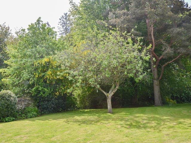 Mature sunny private garden | Fallodon Burnhouses, near Beadnell