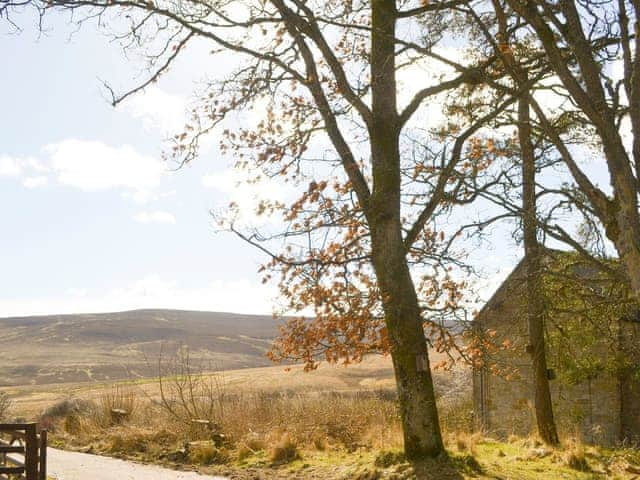 Tranquil views from the holiday home | Oak Cottage - Whitelee Farm, Bryness, near Otterburn