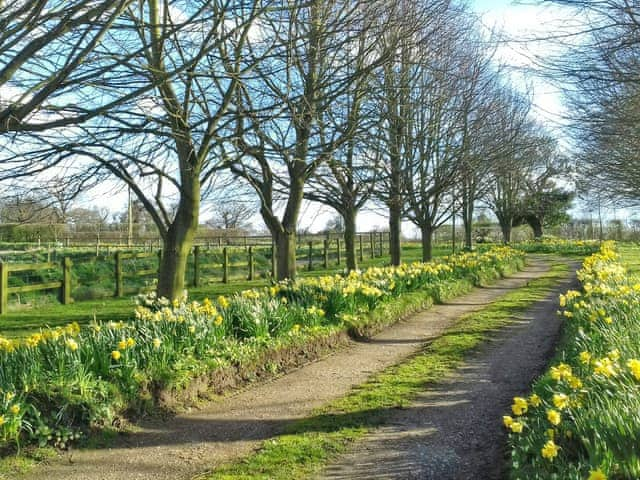 Garden and grounds | Church Farm Cottages - Stables, Lower Gresham