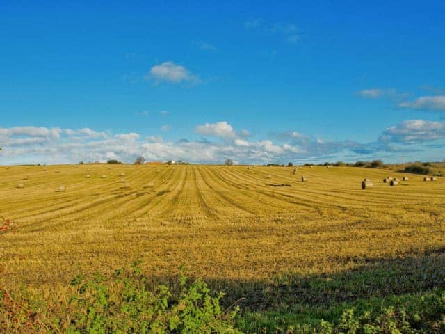 Surrounding area | Murton Cottage, Steading, Berwick-upon-Tweed