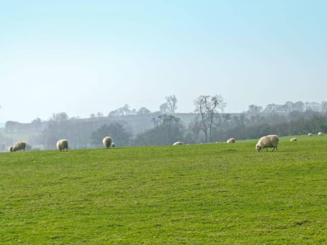 Surrounding area | Lea Farm Cottages- Bullock Lodge, Rye Foreign, nr. Rye