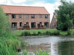 Ringlet | Ringlet, Nr. Stalham