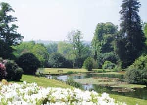 Lake | Rosecraddoc Manor, Nr. Liskeard